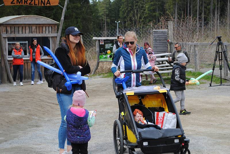 Slavnostní otevření lipenského Království lesa.