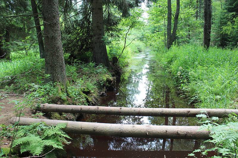 Vojenské lesy a statky ve čtvrtek slavnostně otevřely novou naučnou stezku a návštěvnické centrum Olšina.