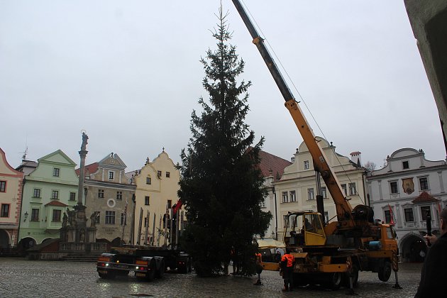 Příjezd a instalace vánočního stromu na náměstí v Českém Krumlově. A na závěr  odměna - teplý čaj od pracovnic města.