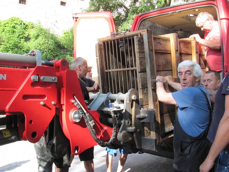 Dvouletá medvíďata se po příjezdu z olomoucké zoo zabydlují na krumlovském zámku.