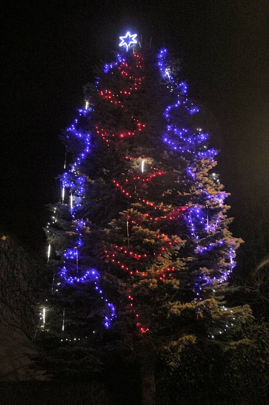 Dolní Třebonín. Potěšte se pohledem na vánoční stromy ve městech a obcích regionu.