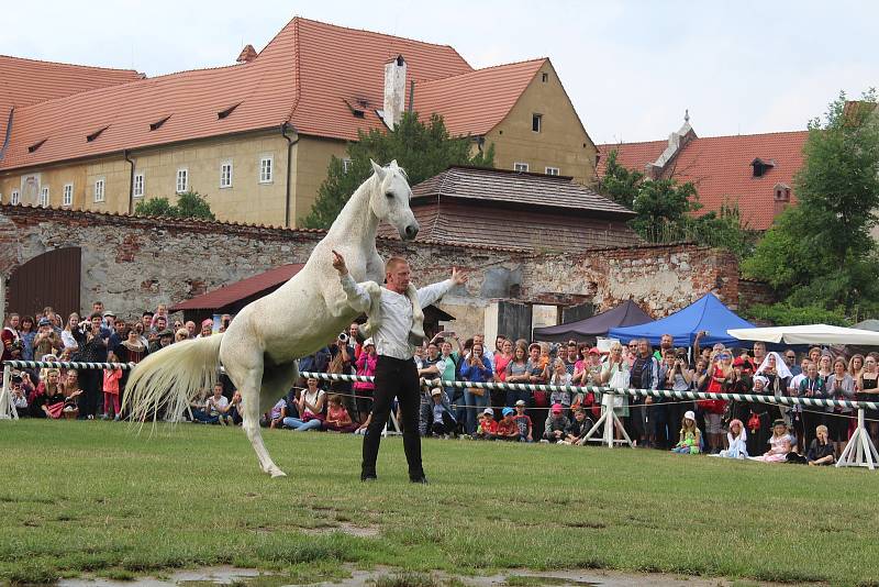 Drezúrní vystoupení s koňmi v Pivovarské zahradě v rámci slavností růže.