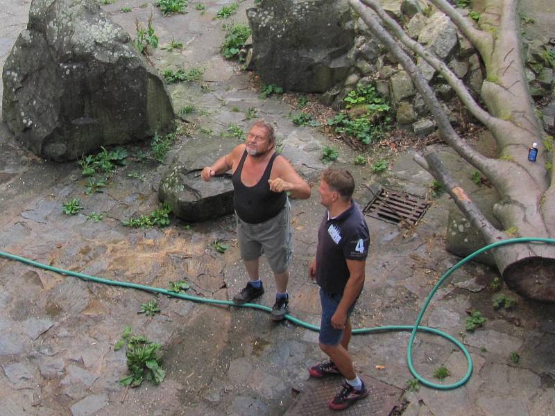 Dvouletá medvíďata se po příjezdu z olomoucké zoo zabydlují na krumlovském zámku.