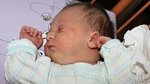 V pondělí 18. července 2016 v 10:40 se Jane a Kristjanovi Laski z Českého Krumlova narodil jejich první potomek. David Laski měřil 51 centimetrů a vážil 3790 gramů.