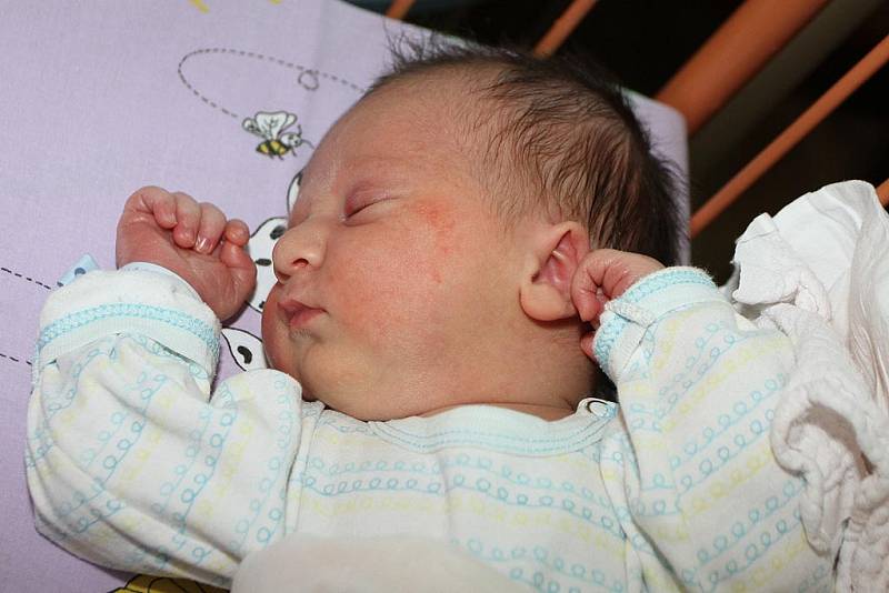 V pondělí 18. července 2016 v 10:40 se Jane a Kristjanovi Laski z Českého Krumlova narodil jejich první potomek. David Laski měřil 51 centimetrů a vážil 3790 gramů.