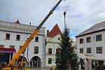 Vánoční strom v centru Krumlova už stojí.