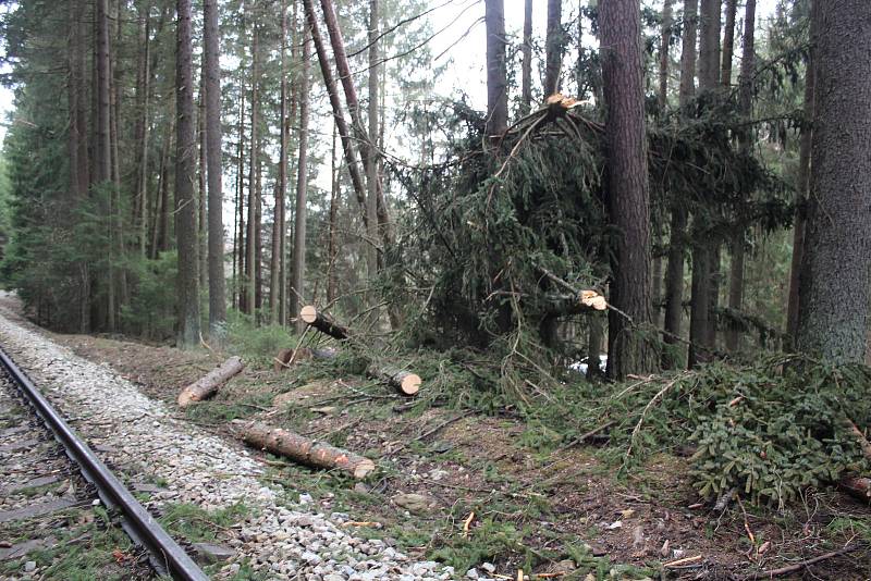 Stromy popadaly na trať i v okolí zastávky Rožmberk nad Vltavou.