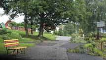 Stromy popadaly na železniční trať, například ve Velešíně Nádraží, strom spadl na stavení v Markvarticích, stromy ale padaly v celém regionu. V parcích je po stromy nastláno větvemi, jako třeba na návsi v Mojném.