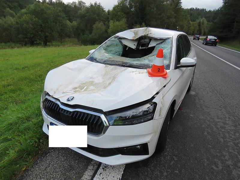 Škoda Fabia po střetu s jelenem na silnici I/39, hlavním tahu z Českého Krumlově k Lipnu.