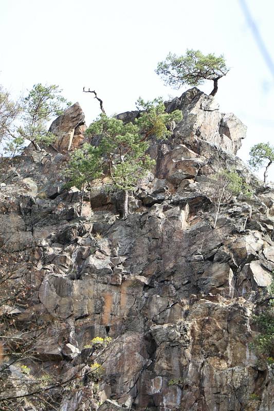 Zřícenina hradu Dívčí Kámen leží v nadmořské výšce 47O metr. Hrad byl založen roku 1349 Rožmberky a rozprostírá se na skalnatém ostrohu Křemežského potoka a řeky Vltavy.