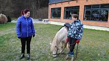 Na Laguně a poníkovi Pepínovi se s nadšením povozily děti na adventním trhu v zahradnictví. Koním zase chutnala zelená tráva, která ještě na trávnících zbyla.