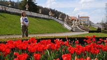 Zámecká zahrada v Českém Krumlově rozkvetla, rozzářily ji hlavně tulipány.