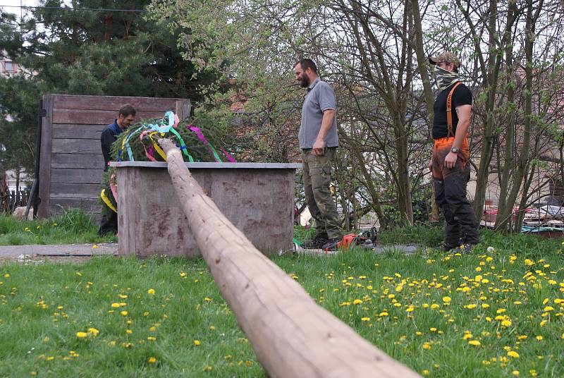 Stavění májky v Pořešíně se ujalo několik místních mužů.