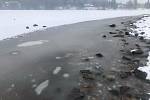 Lipno 10. února 2021. Hladina stoupla a led na březích se potrhal a zalila ho voda.