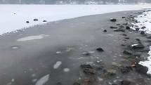 Lipno 10. února 2021. Hladina stoupla a led na březích se potrhal a zalila ho voda.