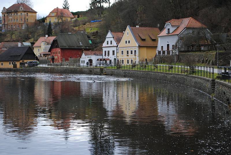 Krumlovští vodní záchranáři si vychutnali tradiční předvánoční plavání ve Vltavě.