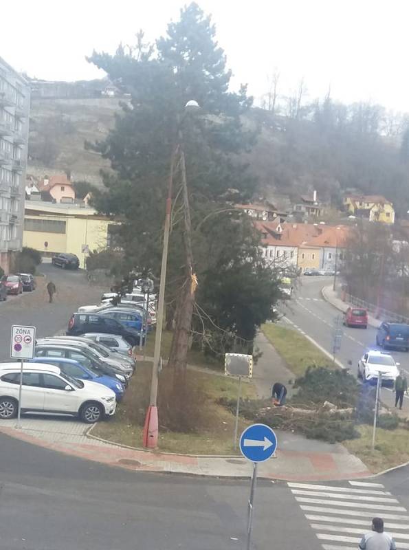 Na Plešivci v Českém Krumlově spadl na silnici strom.