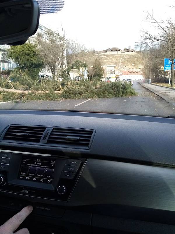 Na Plešivci v Českém Krumlově spadl na silnici strom.