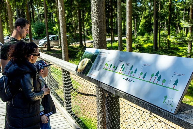 Stezka korunami stromů přichystala dvě novinky: lanovou síť ve výšce dvaceti metrů nad zemí, po které lze volně přejít, a fotografickou výstavu mapující výstavbu Stezky.