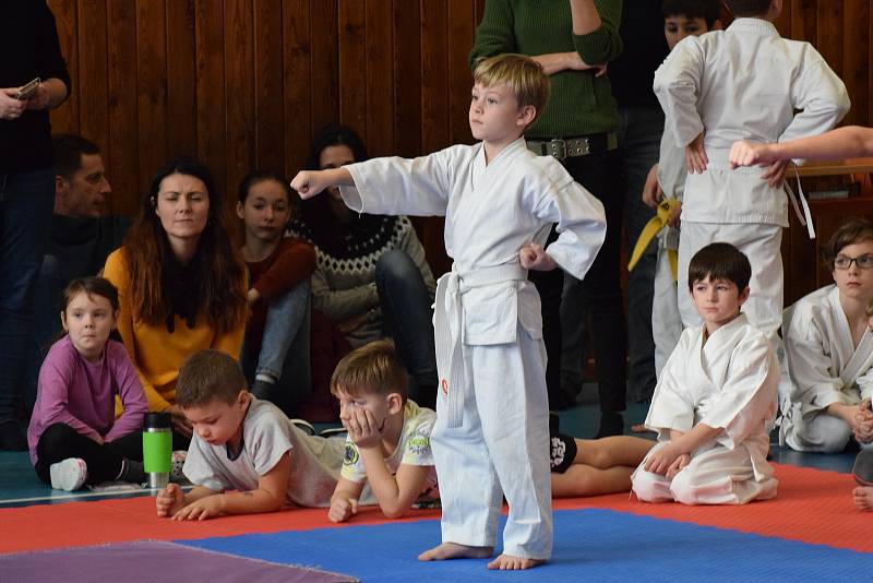 Mikulášský turnaj, poslední z letošní série turnajů Jihočeského svazu japonského karate, pořádal českokrumlovský Shotokan karate klub.