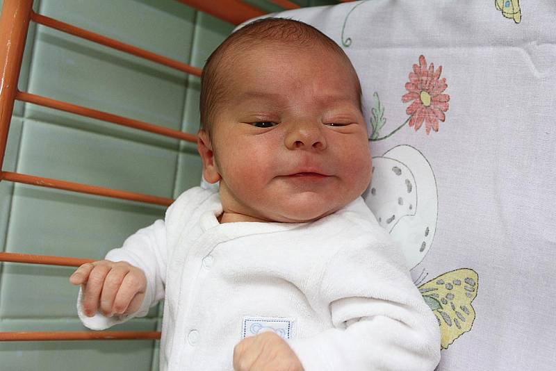 Tomáš Nechanický se narodil v pátek 12. června 2015 ve 21 hodin, měřil 53 centimetrů a vážil 4015 gramů. Rodiči prvorozeného miminka jsou Barbora Nováková a Tomáš Nechanický z Besednice.