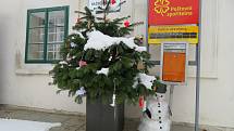 První sněhová nadílka a první adventní neděle v Rožmberku nad Vltavou.
