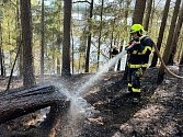 U Velešína v neděli zachvátil požár les na ploše 50 x 100 metrů.