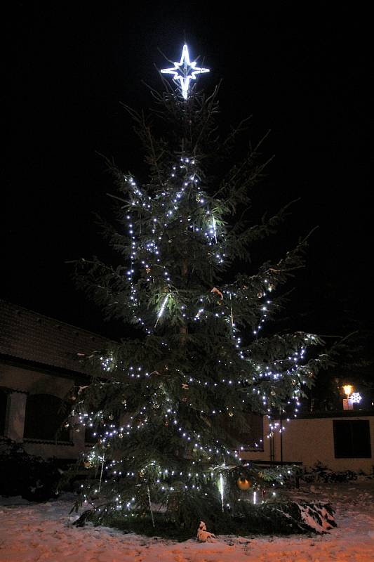 Zlatá Koruna. Potěšte se pohledem na vánoční stromy ve městech a obcích regionu.