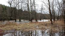 Vltava zaplavila břehy u chatek u Všeměr nad Větřním.