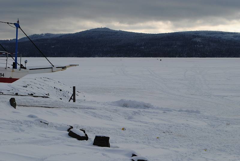 Kobylku, která utekla z ohrady na Kovářově a propadla se uprostřed Lipna, téměř kilometr od břehu, do ledu, se podařilo zachránit.