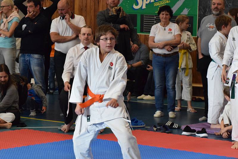 Mikulášský turnaj, poslední z letošní série turnajů Jihočeského svazu japonského karate, pořádal českokrumlovský Shotokan karate klub.