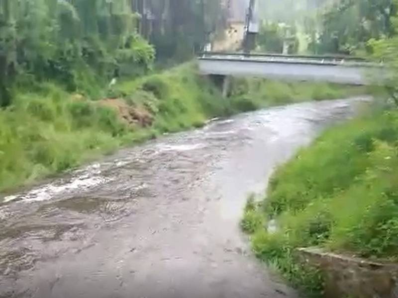 Polečnice v Dobrkovicích ve středu dopoledne.