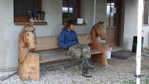 První závody v jezdecké disciplině Working equitation na Ranči v Čertyni.