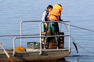 Hydrobiologové z Biologického centra Akademie věd ČR ve spolupráci s Jihočeským územním svazem Českého rybářského svazu na Lipně provádějí komplexní průzkum rybí obsádky.