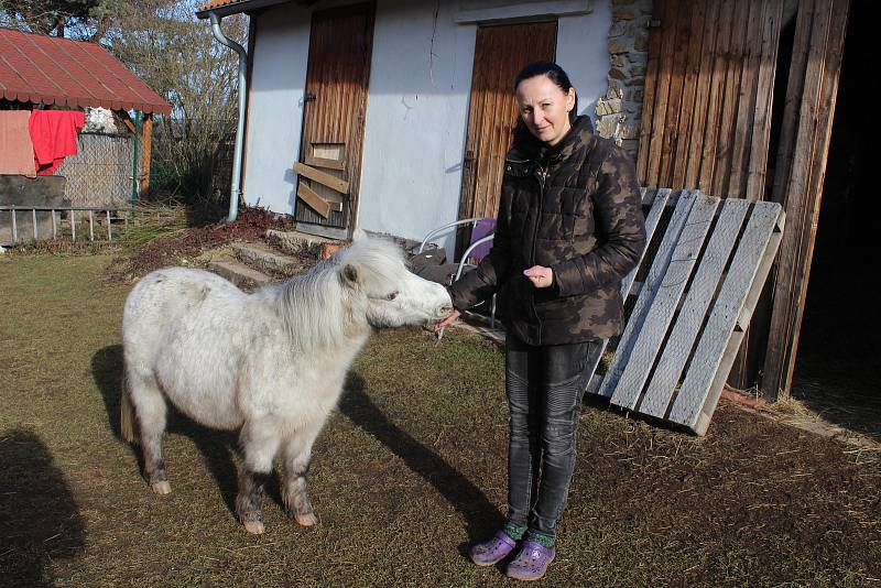 Zápach z chovu miniponíka Berušky na zahradě domu působí zdravotní problémy sousedovi.