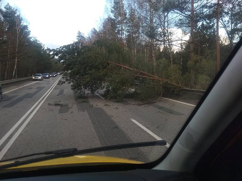 Strom přes cestu spadl mezi Boršovem nad Vltavou a Kamenným Újezdem.