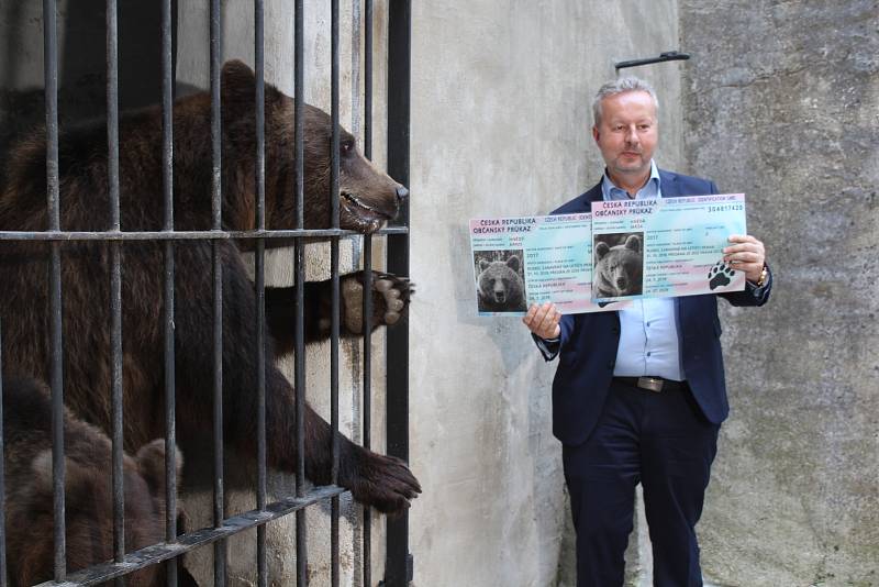 Na medvíďata se přijel podívat ministr životního prostředí Richard Brabec, ředitel ZOO Olomouc Radomír Habáň i dlouholetý medvědářův kamarád Václav Chaloupek.