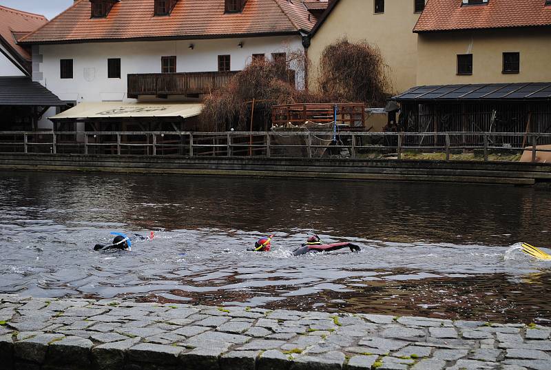 Krumlovští vodní záchranáři si vychutnali tradiční předvánoční plavání ve Vltavě.