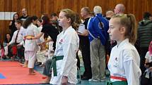 Mikulášský turnaj, poslední z letošní série turnajů Jihočeského svazu japonského karate, pořádal českokrumlovský Shotokan karate klub.