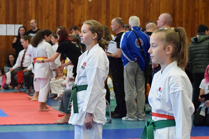 Mikulášský turnaj, poslední z letošní série turnajů Jihočeského svazu japonského karate, pořádal českokrumlovský Shotokan karate klub.