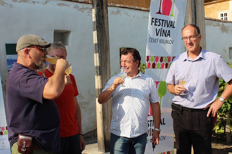 Krumlovské vinobraní 2018. Na vinici na Tramíně se společnými silami sklízela odrůda Solaris.
