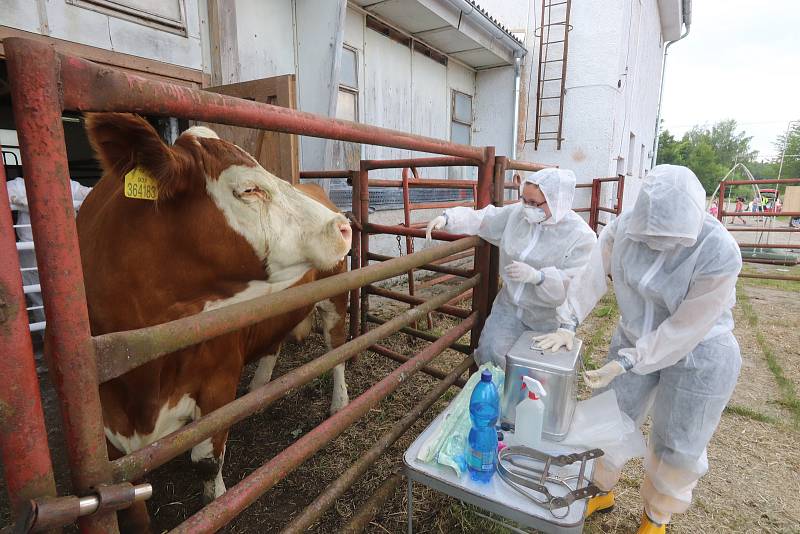 VETERINÁŘI V AKCI. Byť jen cvičně, přesto vážně přistupují odborníci k prevenci šíření nákaz v chovech.