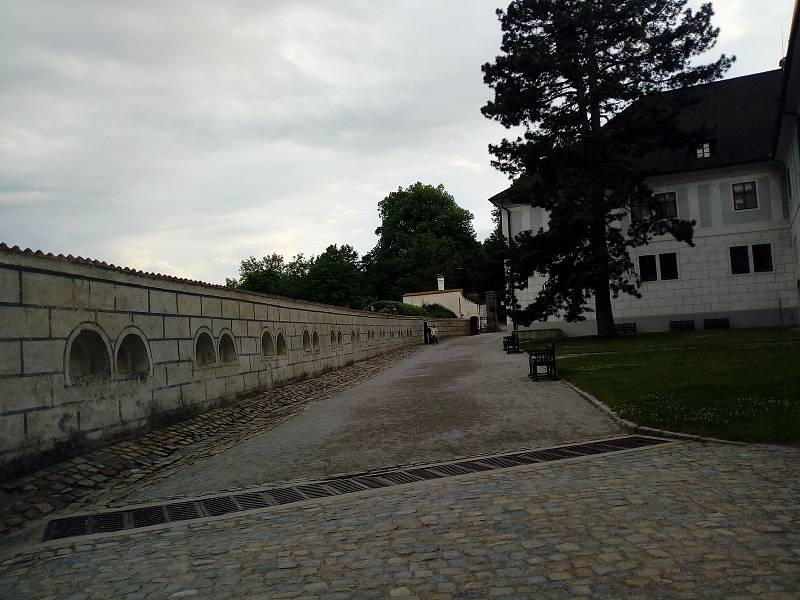 Podvečerní Český Krumlov