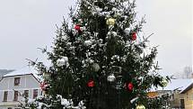 Rožmberk nad Vltavou. Potěšte se pohledem na vánoční stromy ve městech a obcích regionu.