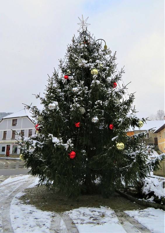 Rožmberk nad Vltavou. Potěšte se pohledem na vánoční stromy ve městech a obcích regionu.