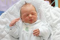Českokrumlovští Lucie Lošková a Petr Pekař mají od 15. března 2017 potomka. Dvaapadesát centimetrů měřící a 3430 gramů vážící chlapeček Karel Pekař se narodil za přítomnosti svého tatínka ve 23 hodin a 44 minut.