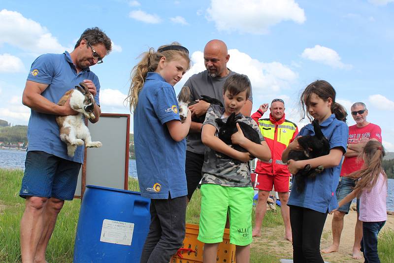 Stěhování chlupáčů na Králičí ostrov u Lipna nad Vltavou.