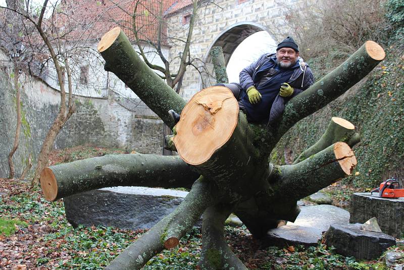 V pondělí nastala v medvědáriu veliká operace - instalace nových kmenů do medvědích výběhů.