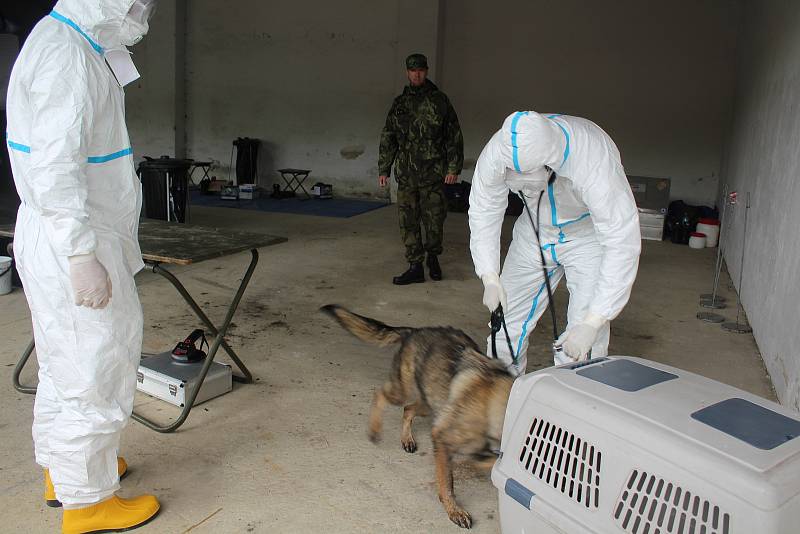 Teoretické a praktické cvičení veterinárního dozoru zaměřené na spolupráci při likvidaci nebezpečných nákaz v chovech se po dva dny konalo v Květušíně.