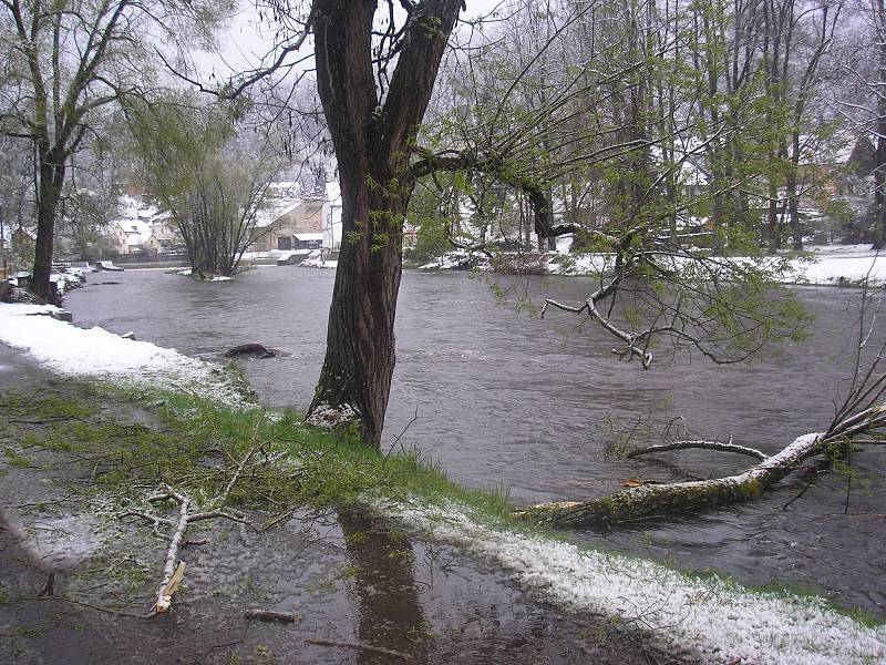 Stromy popadaly v noci v Rožmberku nad Vltavou a okolí. Hasiči likvidují stromy prakticky na všech místních komunikacích.